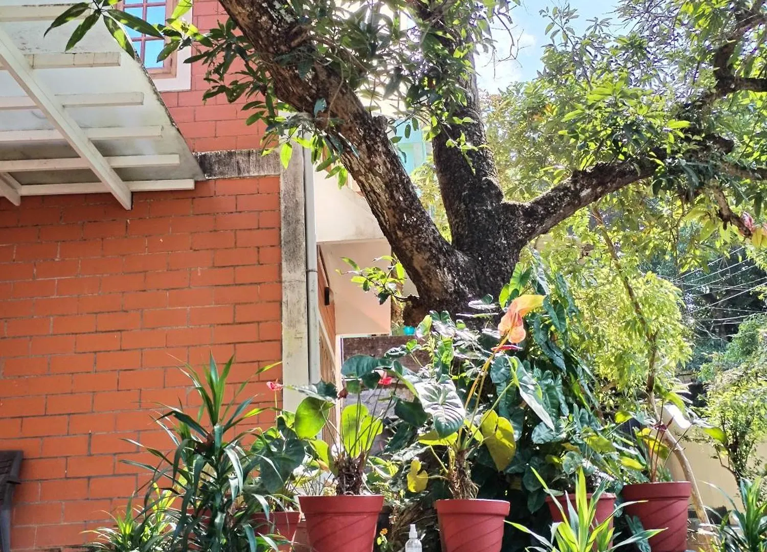 קוטאיאם Sweet Home